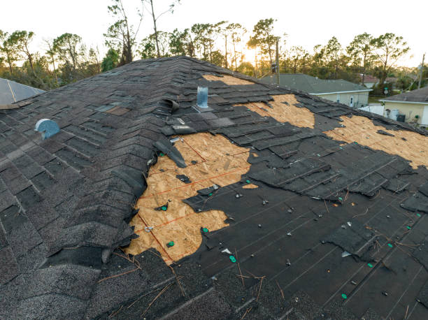 Best Storm Damage Roof Repair  in Jackson Center, OH